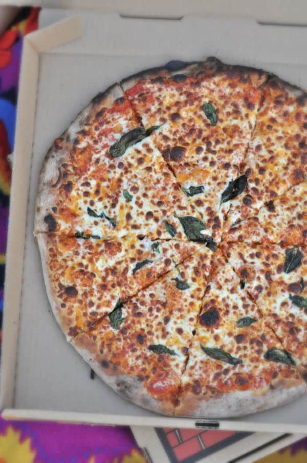 Red Barn Pizza Farm in Minnesota Dining with Alice