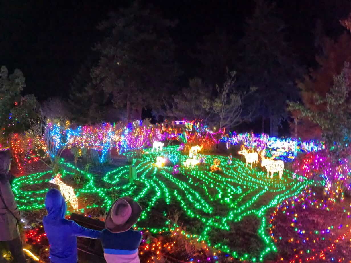 12 Best Christmas Lights in Salem Oregon Dinkum Tribe