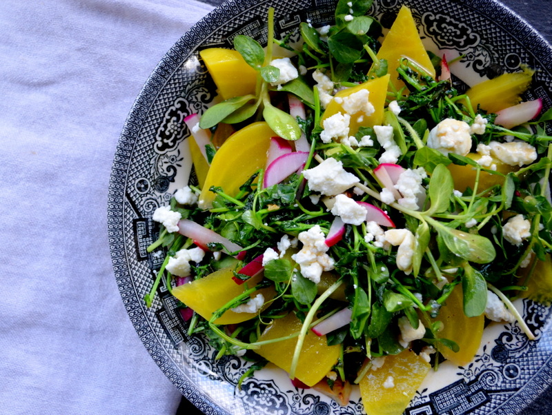 Pea Shoot, Sunflower Sprout, and Yellow Beet Salad with Goat Cheese