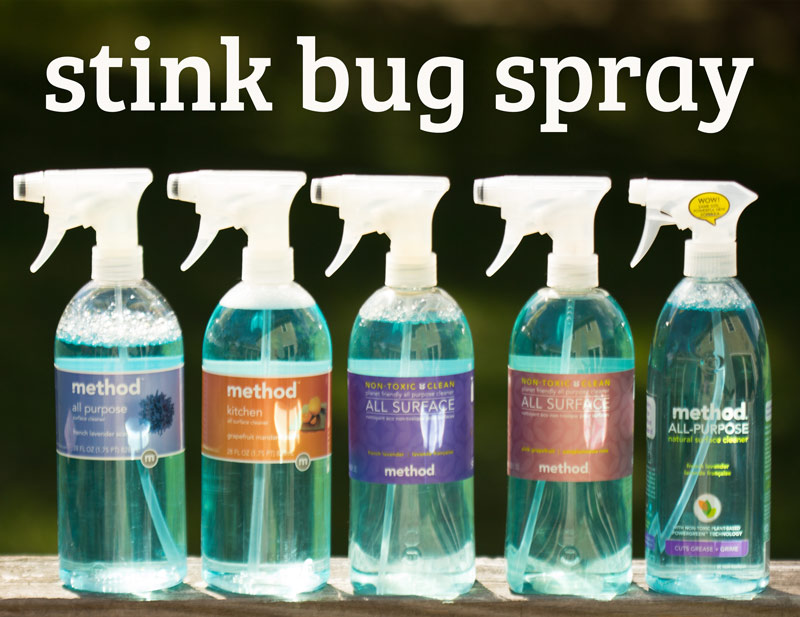 dinny's garden where inspiration blooms but sometimes the weeds take over