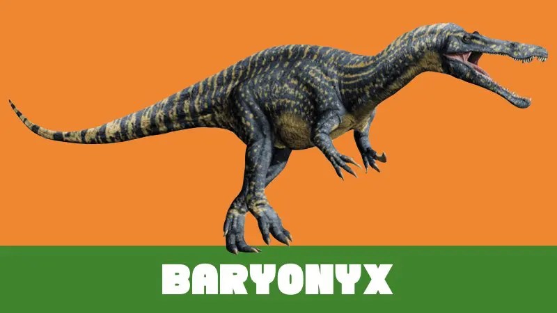 Are Dragons Real? Dinosaurs Versus Dragons with Photos!