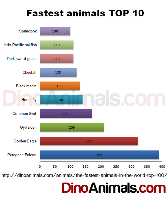 Fastest animals Top 10