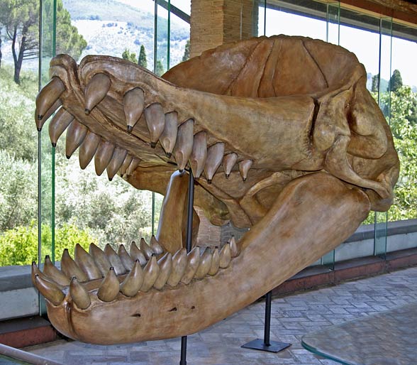 Livyatan melvillei biblical Leviathan?