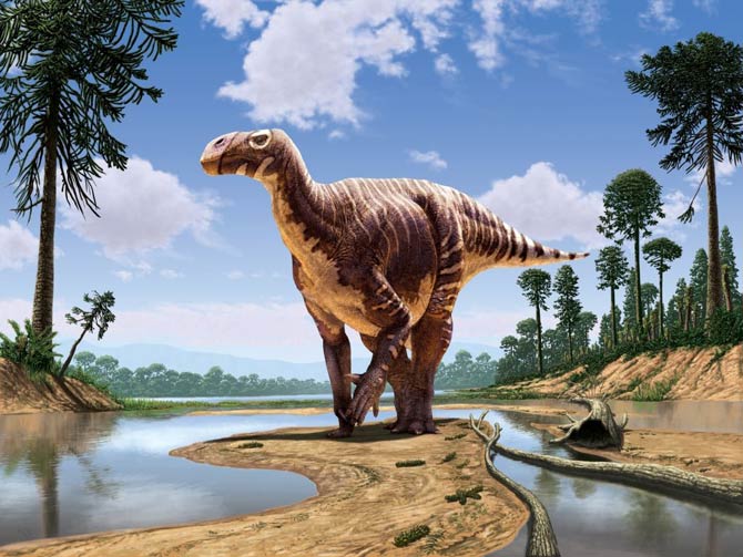 Iguanodon one of the first dinosaurs discovered