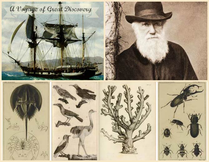 Charles Darwin and his story