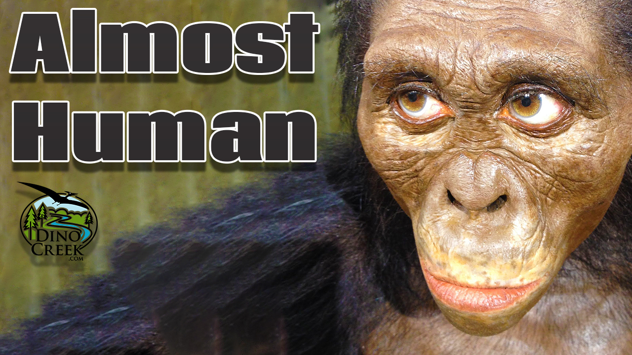 Archaic Humans PreHuman Ancestors