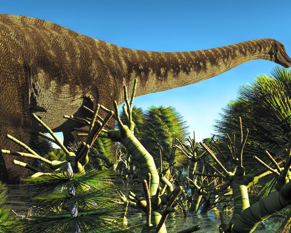 Brachiosaurus A Giant Longneck Dino Dino Digest