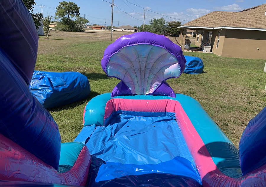 Paw Patrol Combo Bounce House with Water Slide Rental Cape Coral