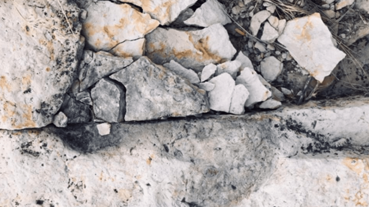 Friends of Dinosaur Ridge Seek to Preserve Fossil Site Dinosaur Ridge