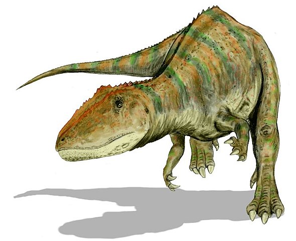 Letter C Dinosaur Names Beginning With C AZ list of Dinosaur Names