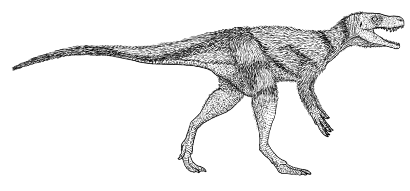 Letter C Dinosaur Names Beginning With C AZ list of Dinosaur Names