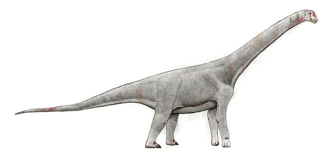 Letter C Dinosaur Names Beginning With C AZ list of Dinosaur Names