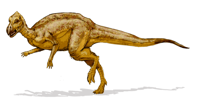 Letter Z Dinosaur Names Beginning With Z AZ list of Dinosaur Names