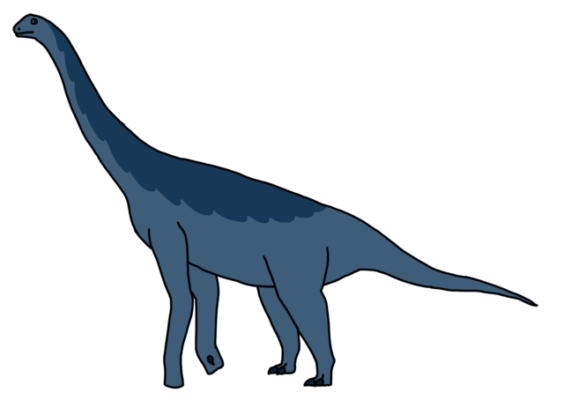 Dinosaur Names Beginning With the letter Q AZ list of Dinosaur Names
