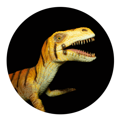 The Gang - prehistoric personalities of Dinosaur Outpost.