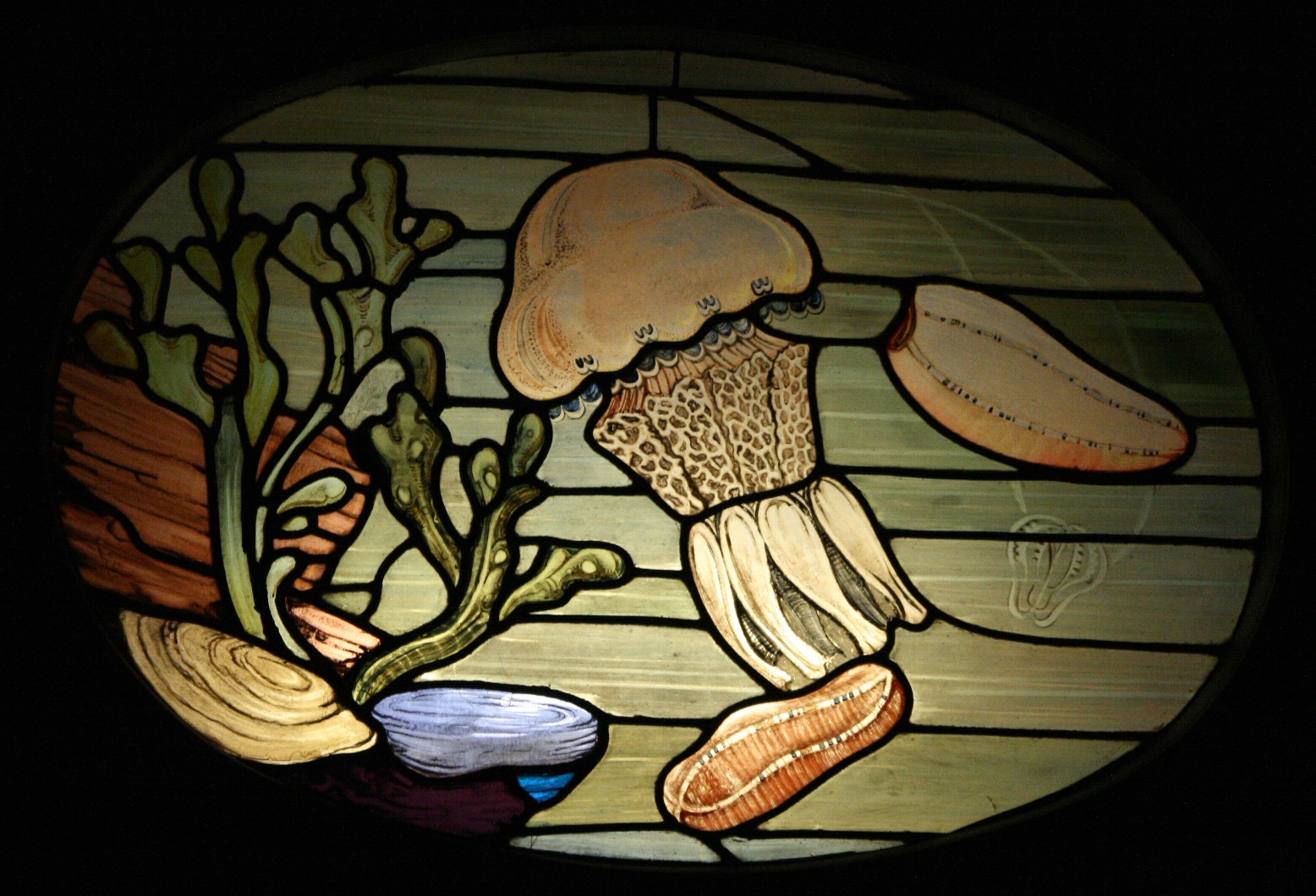 More stainedglass fishes dinosaurpalaeo