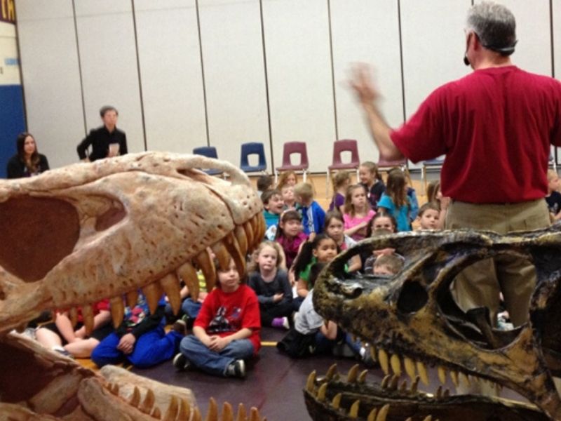 paleontology summer camp 2023 Summer Camp Programs | Dinosaurs Rock Programs