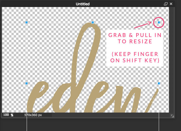How To Resize An Image With Pixlr Dinosaur Stew