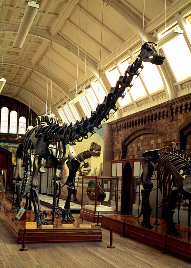 Visitor wellbeing and NHM’s dinosaur exhibit EXTINCT MONSTERS