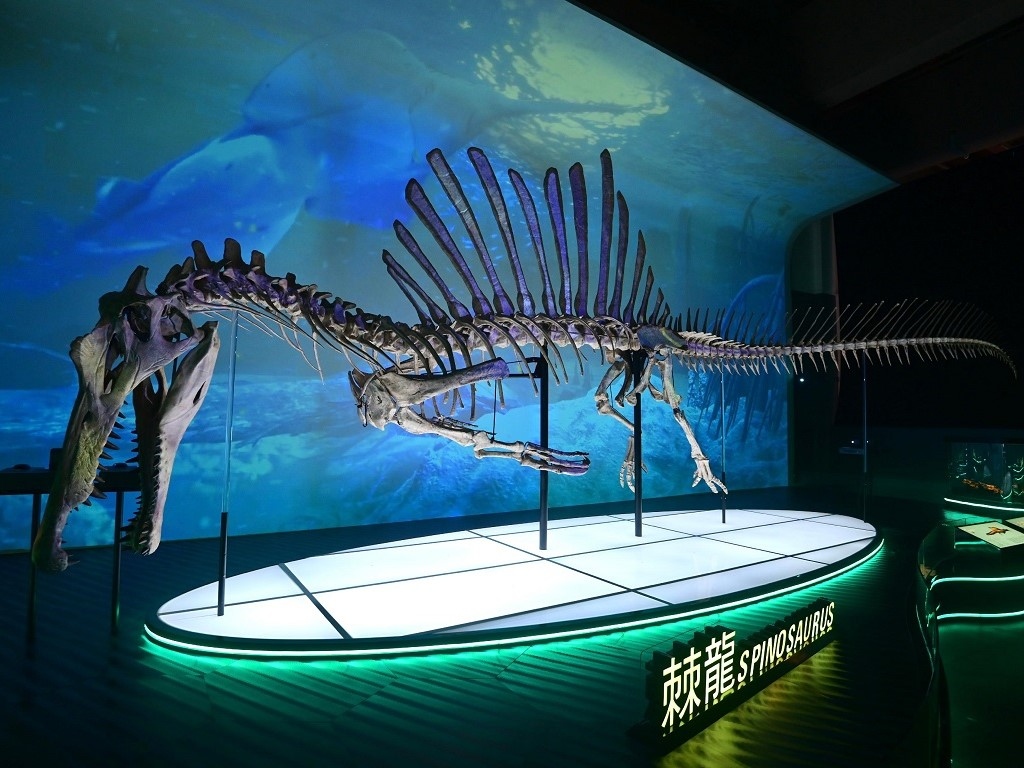 Spinosaurus, aquatic animals, and jargon EXTINCT MONSTERS