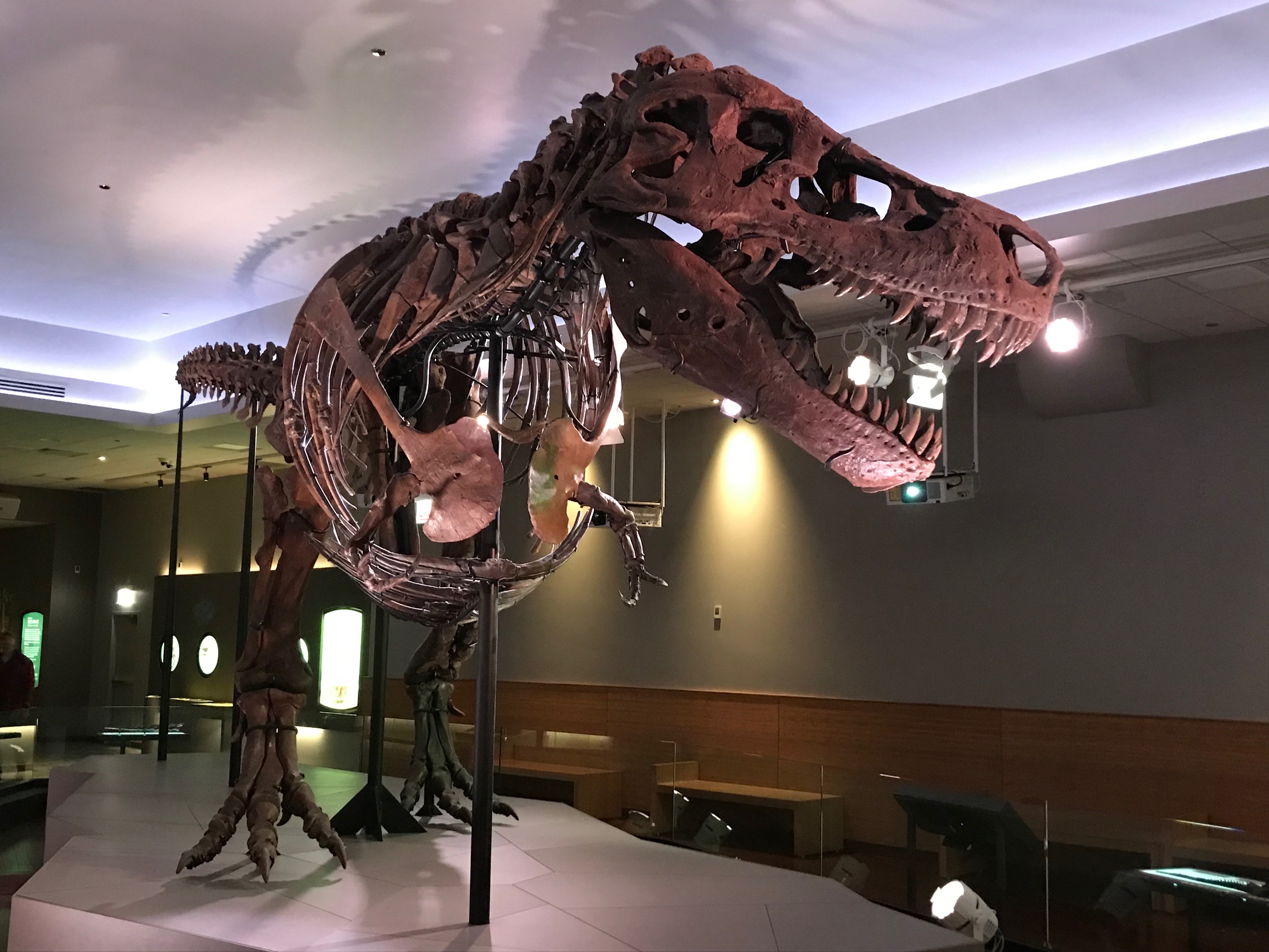 Is it real? EXTINCT MONSTERS