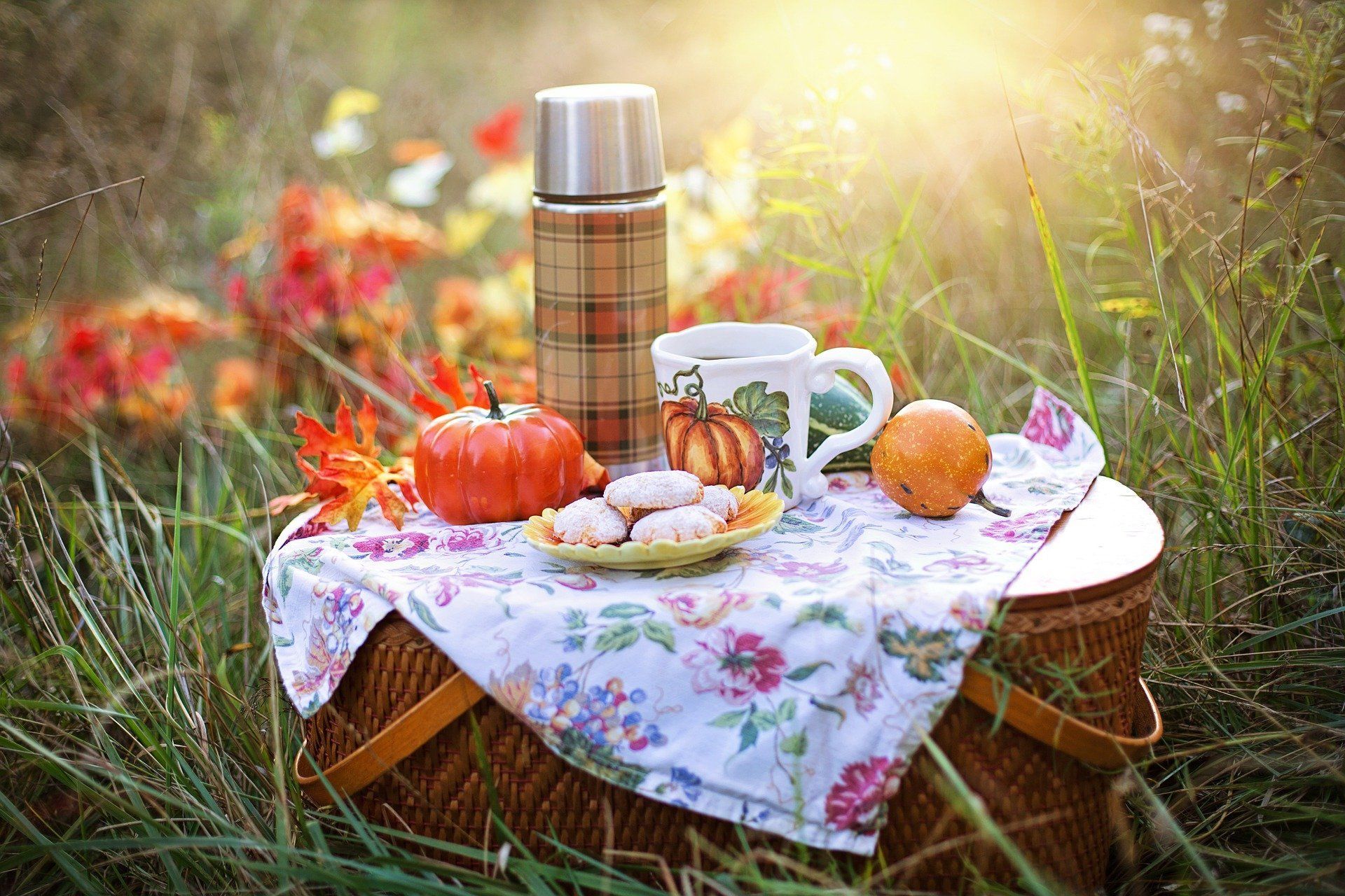 10 tips para ir de picnic + 10 comidas completas de picnic DINUT