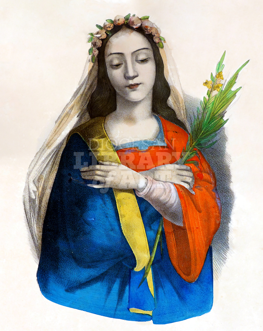 Diocesan Library of Art St. Monica