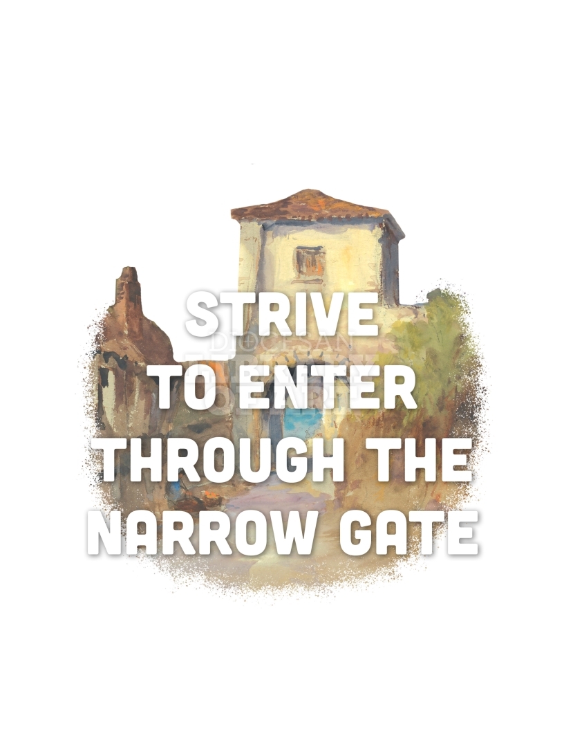 Diocesan Library of Art Narrow Gate Clipped Cover