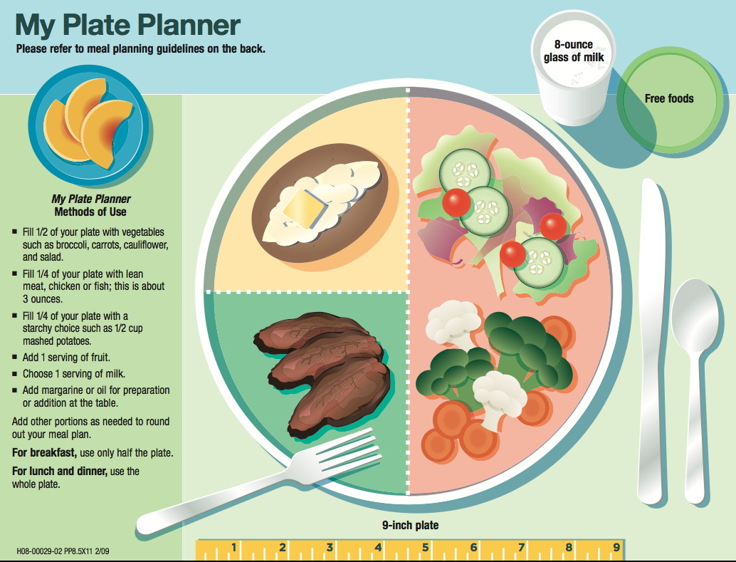 Healthy Eating Meal Planner Diabetes Information Kiosk