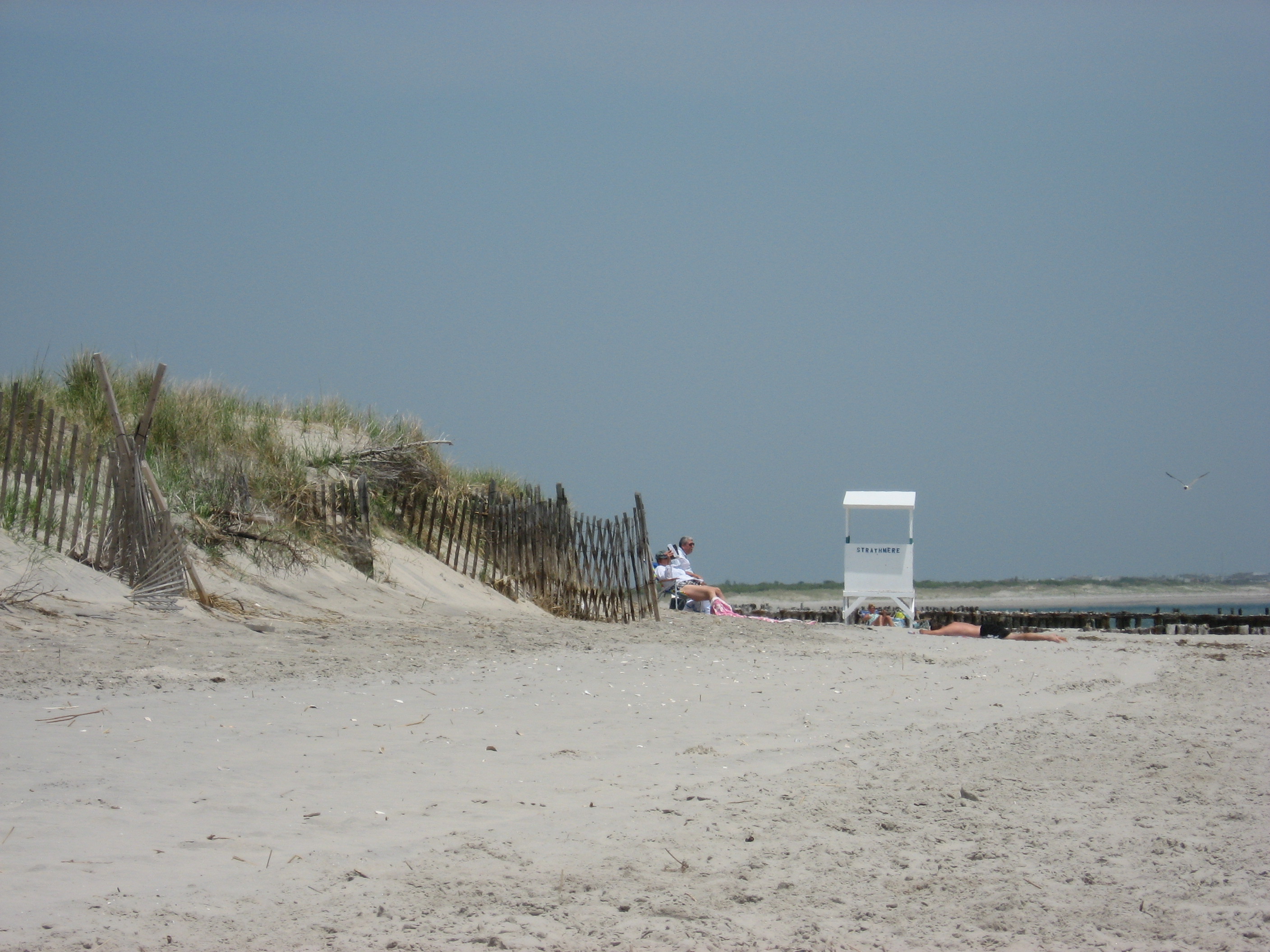 2023 Beach Tag Guide For Cape May Co. Beaches TERESA DIPESO JERSEY SHORE REAL ESTATE BLOG