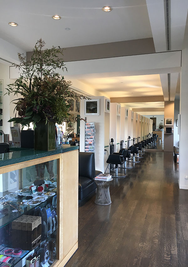 Mill Valley diPietro Todd Best Bay Area salon