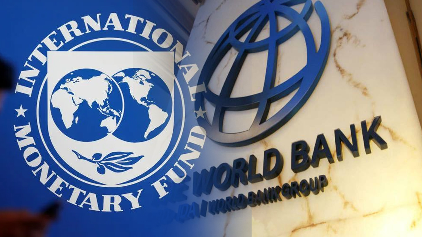 World Bank & IMF consider debt relief concerning climate & conservation