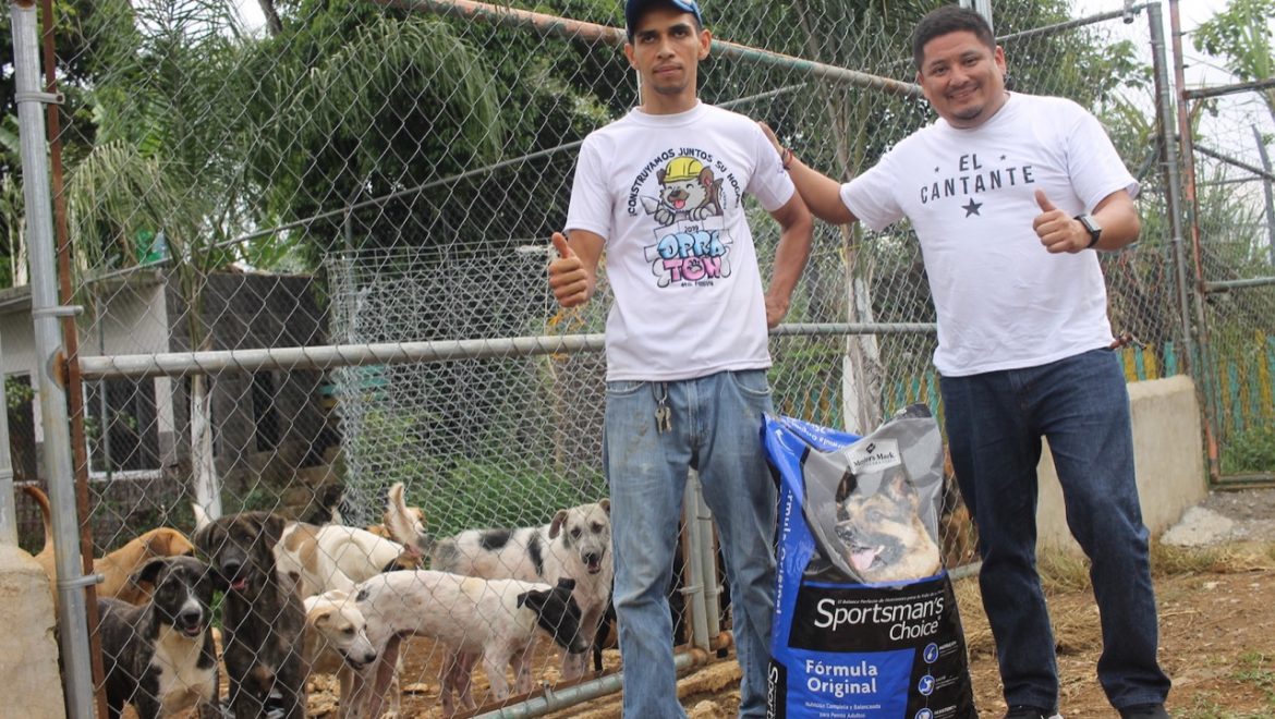 Necesario, consolidar avances en materia de protección animal en