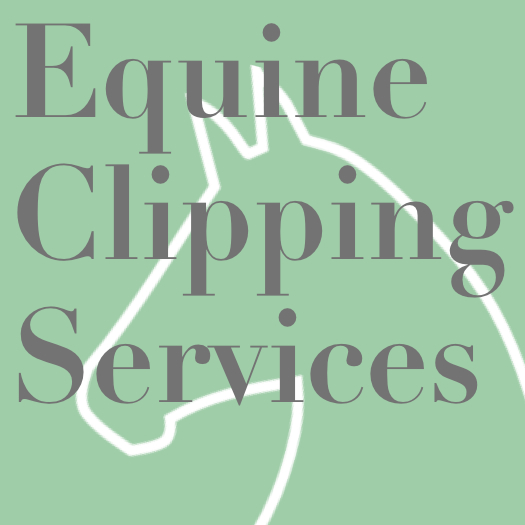Equine Clipping Services Stacey Sikorski «