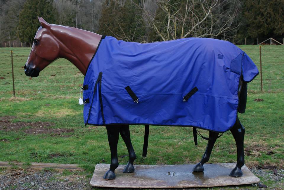 Blanket Express Equine Laundry «