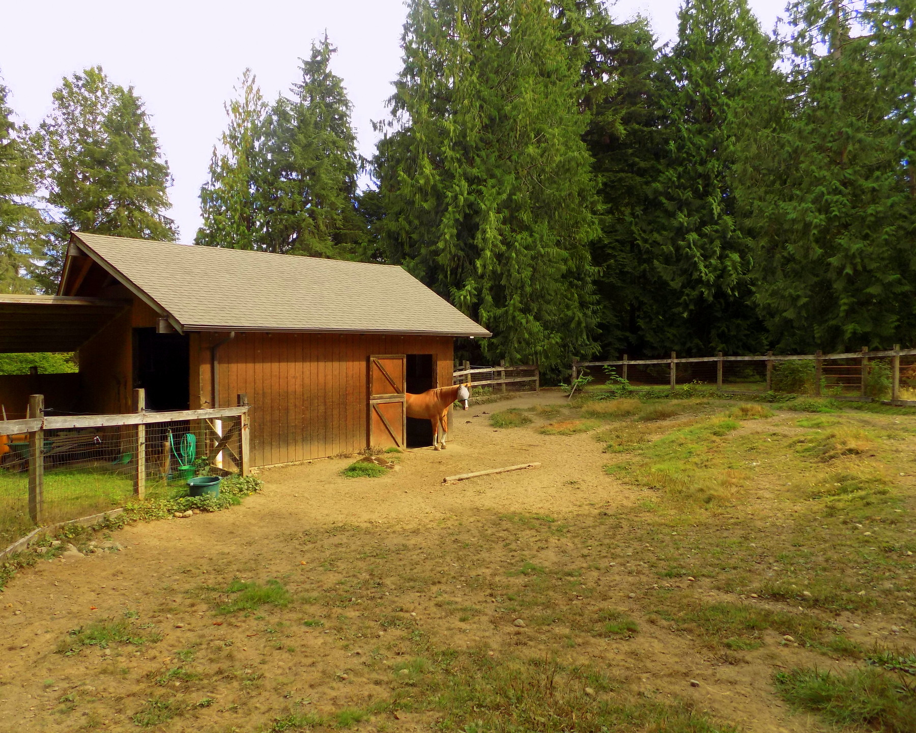 Private 5 Acre Farm in Duvall, WA. «