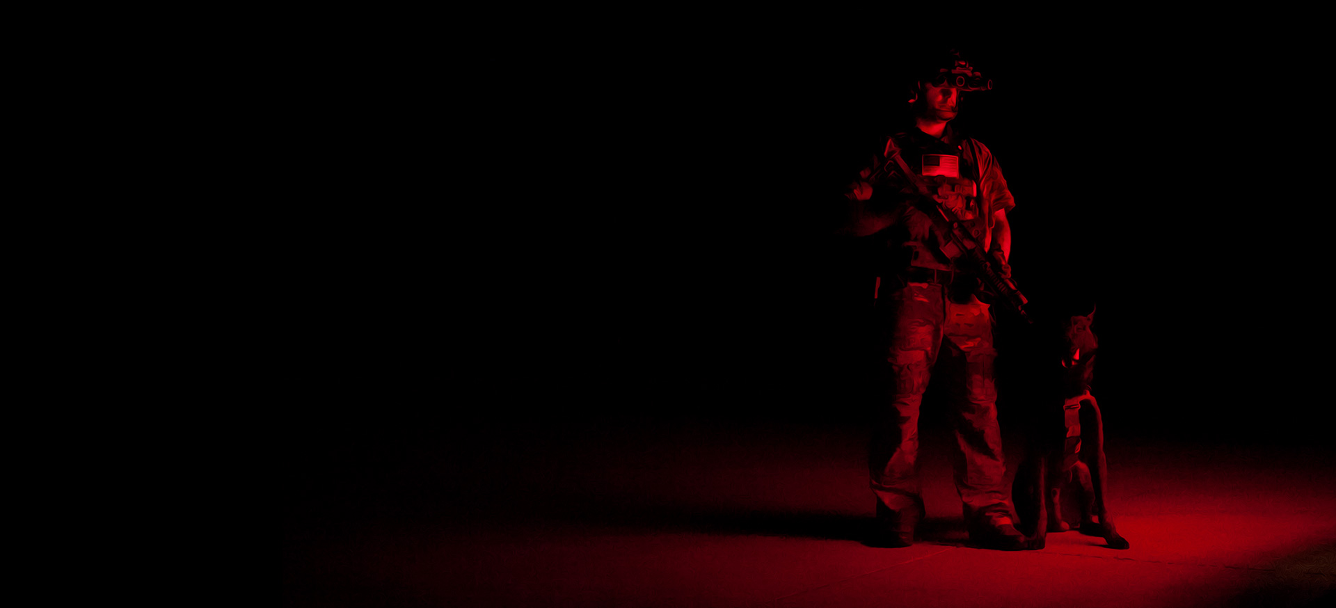 Police Dog Training Equipment Direct Action K9