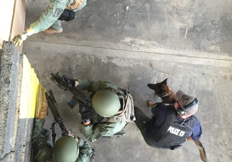 K9 Canine Training & Equipment Direct Action K9