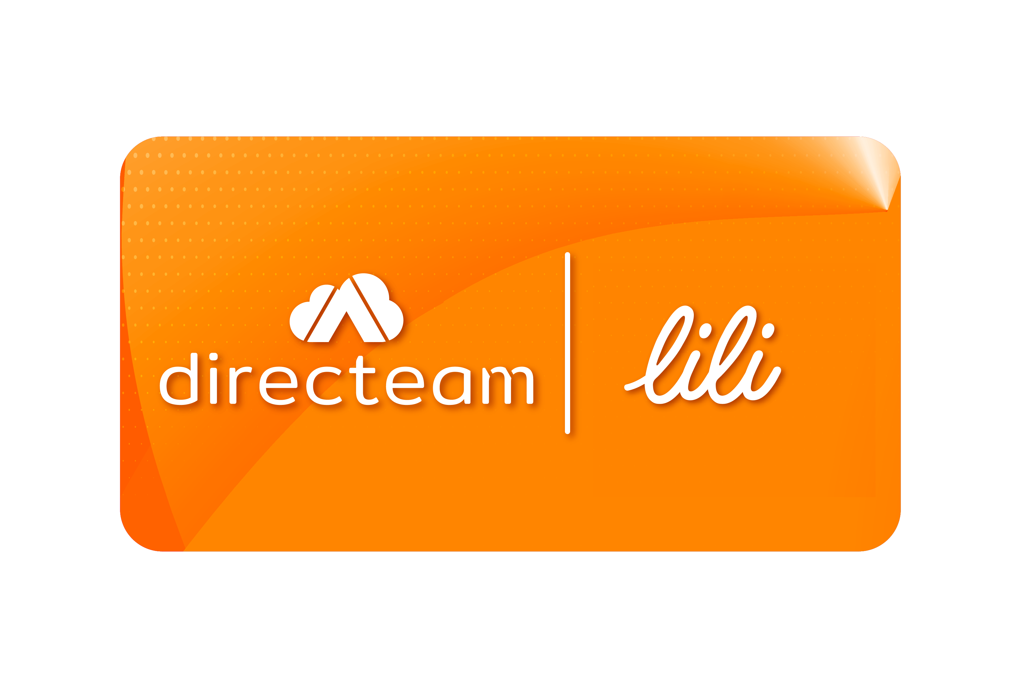 Lili Success Story Directeam(08)