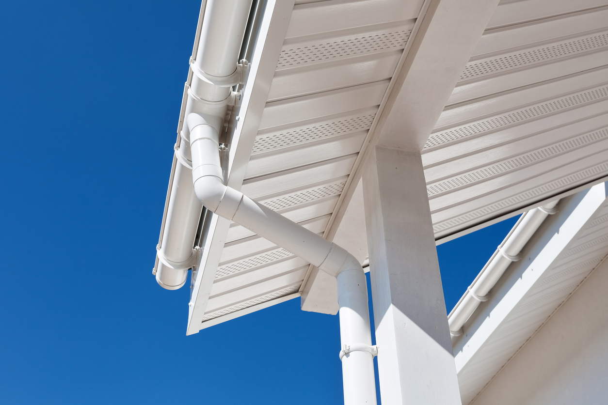 Effective Ways to Keep Squirrels From Accessing Your Aluminum Gutters