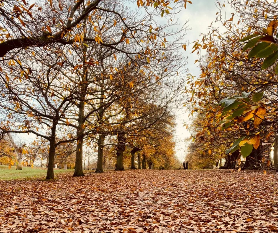 Places with the Best Fall Foliage in Europe