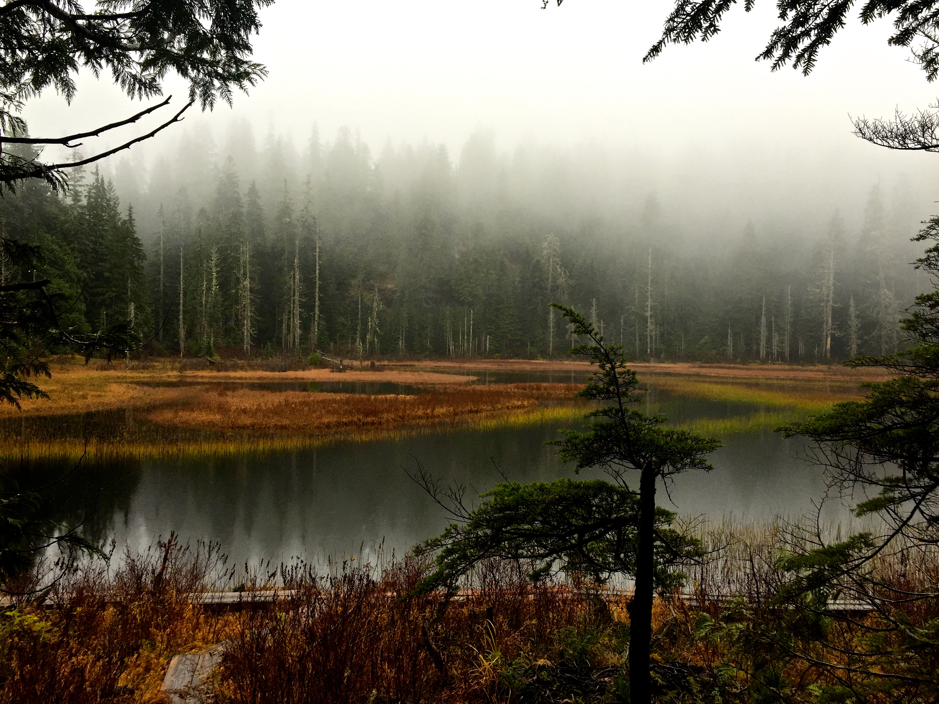 Ashland Lakes directions optional