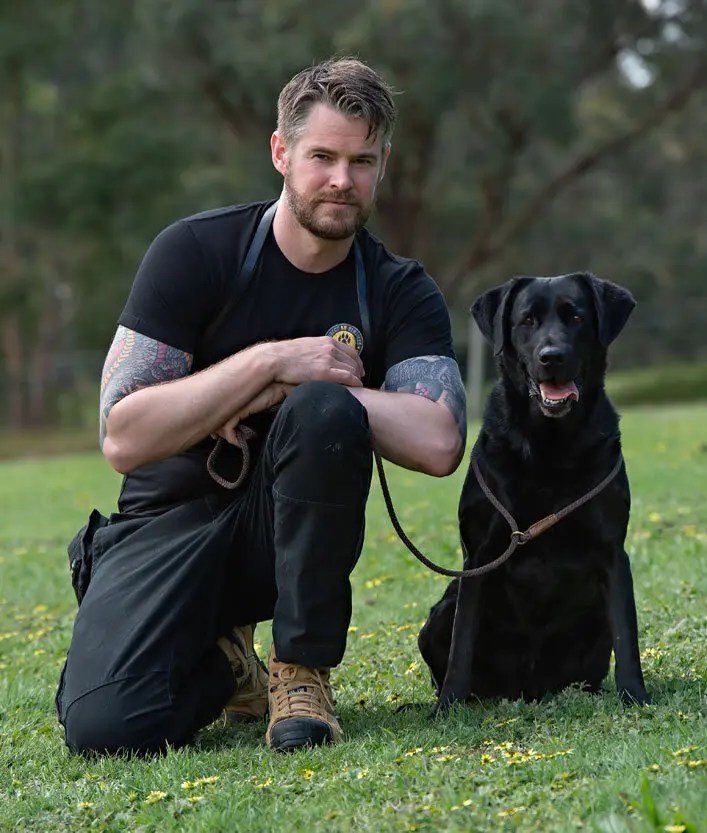 In Home Dog Training, In Home Puppy Training, Dog Behaviour