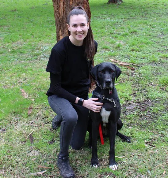 Dog Training, Dog Trainer, In Home Puppy Training, Dog Behaviour