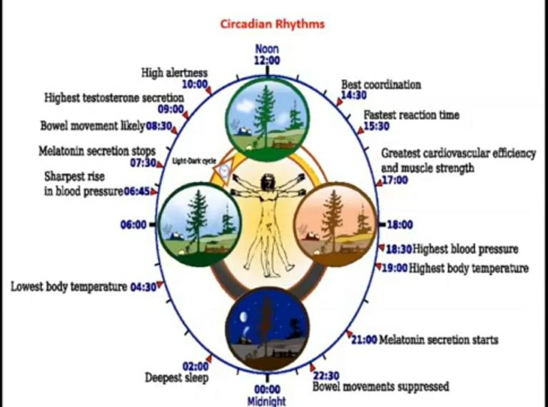 Sleep &amp; Immunity Role of Yoga during Pandemic Director’s Voice