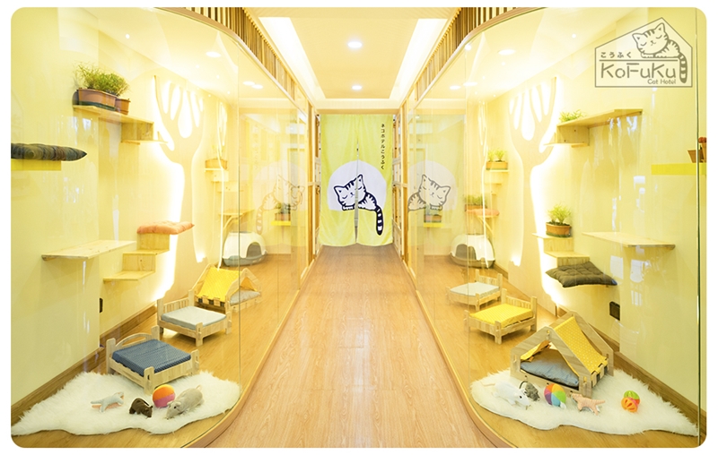 Kofuku Cat Hotel Coconuts Directory