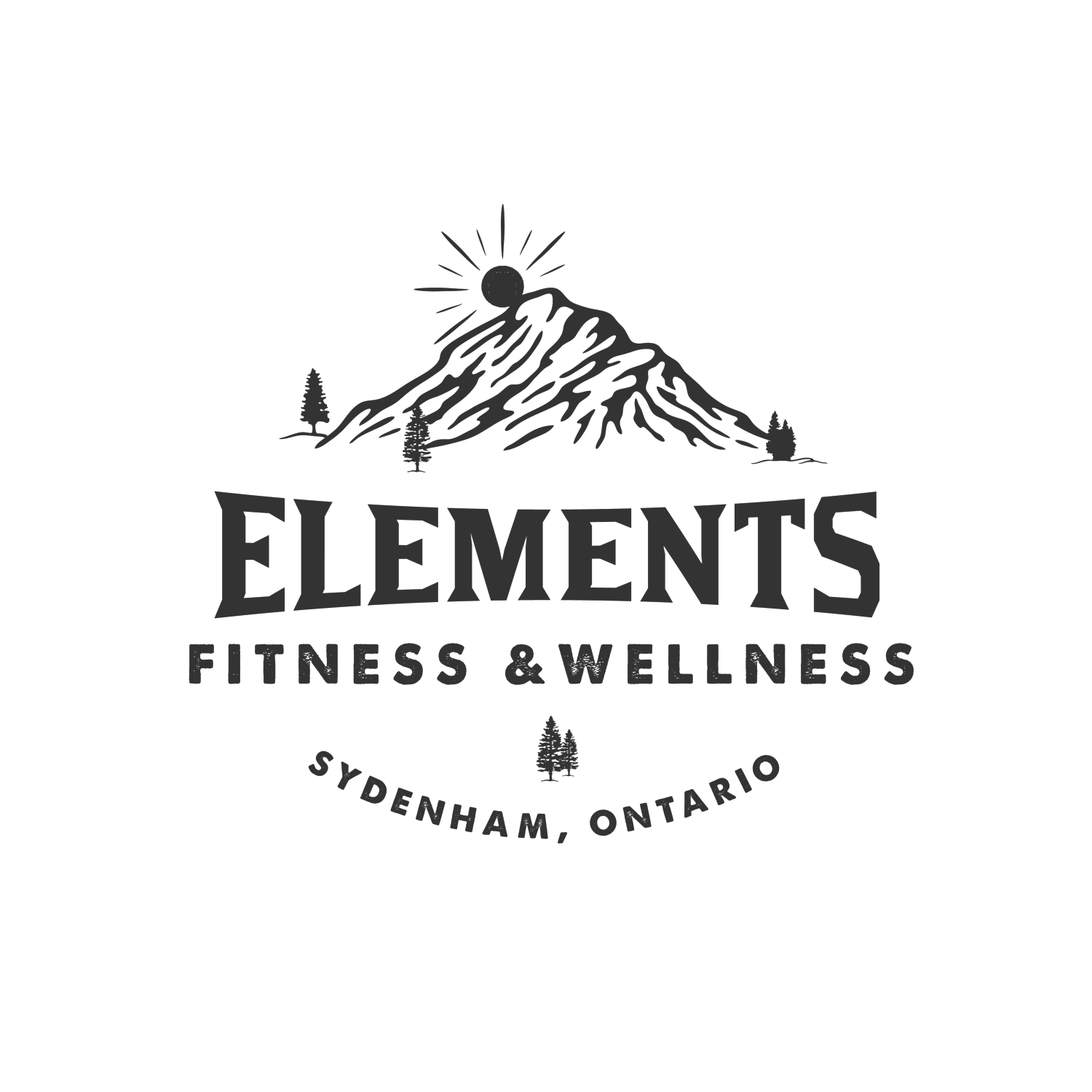 Elements Fitness and Wellness