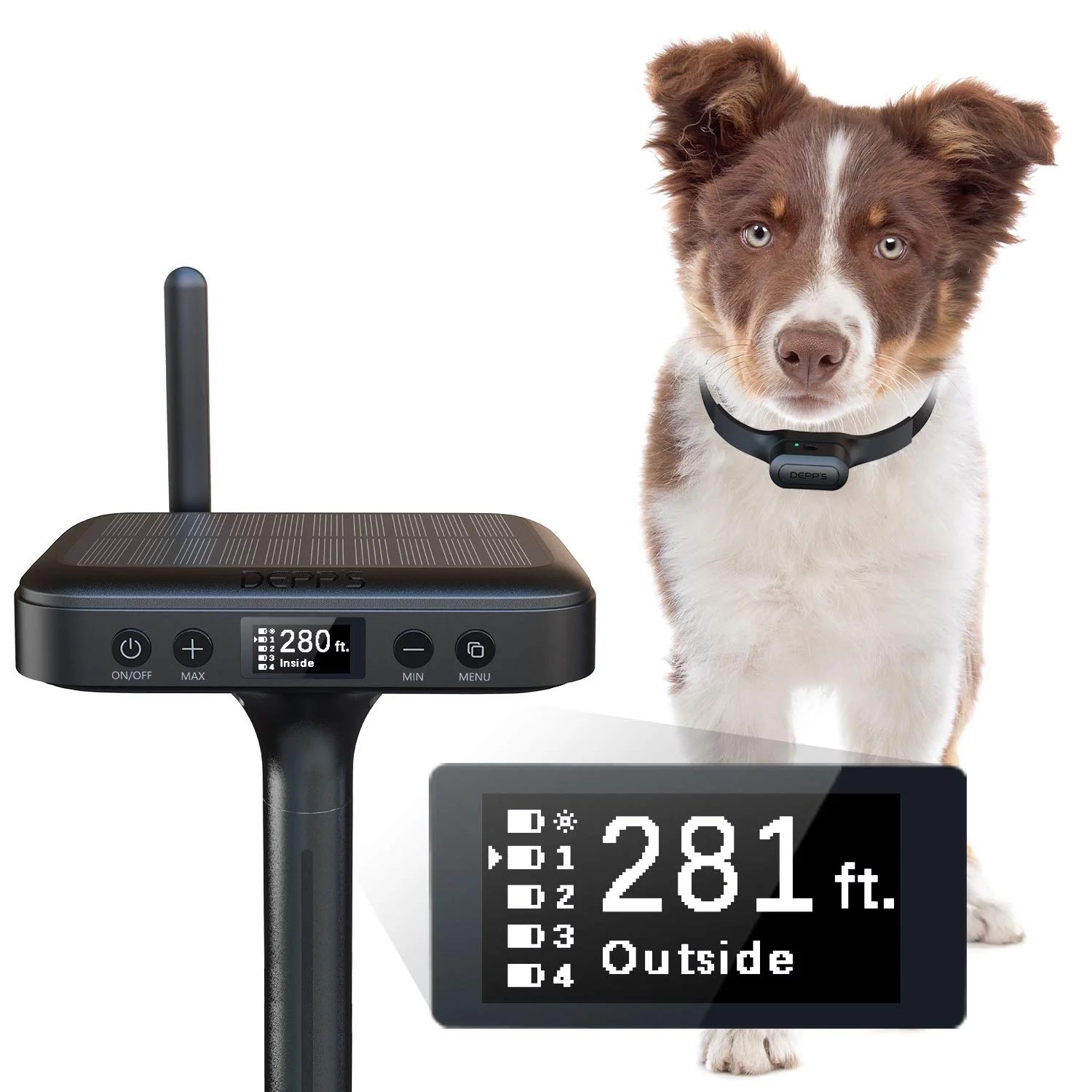 What Is A Wireless Dog Fence