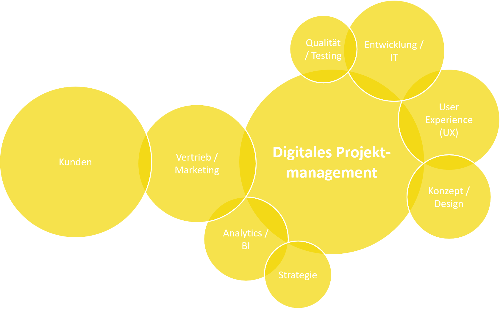 Was ein digitaler Projekt­manager macht — Dirk Murschall