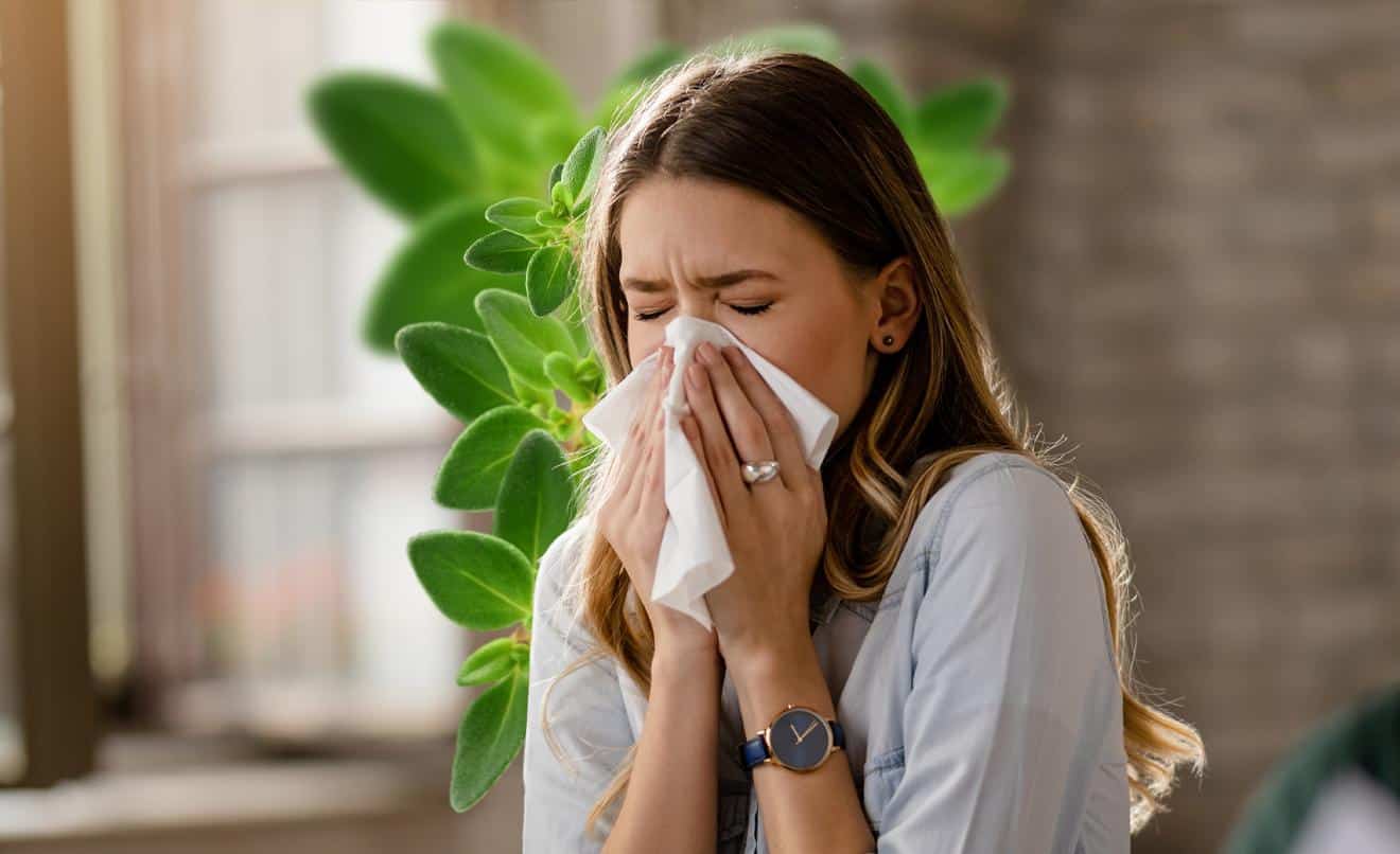 Mocos puede representar riesgos para la salud?